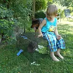 Apartament Familienferienhof Sell's Scheune *