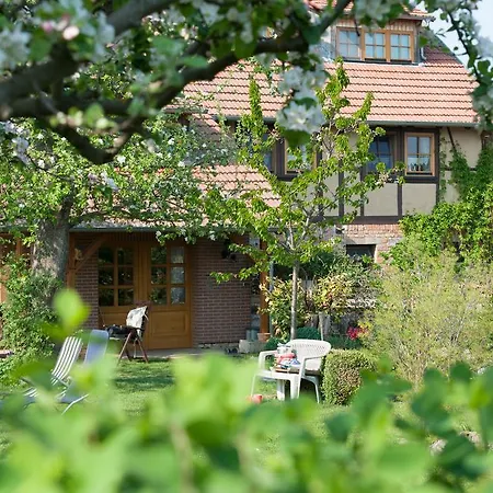 Familienferienhof Sell's Scheune Daire Sundhausen