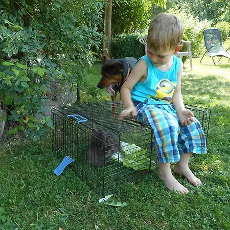 Appartement Familienferienhof Sell's Scheune *