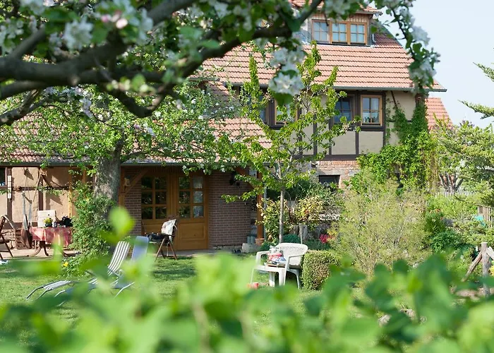 Familienferienhof Sell's Scheune 아파트 Sundhausen